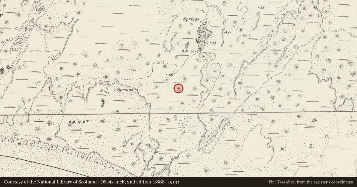 Ordnance Survey six-inch map, 2nd edition (1888–1913) covering the location of Hendai Medieval Farmstead, Rhosyr, Isle of Anglesey, with a pin at the register's coordinates