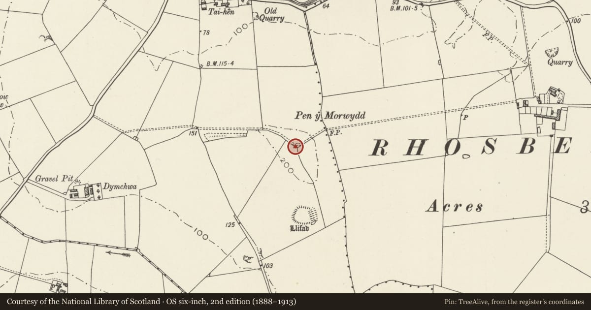 Ordnance Survey six-inch map, 2nd edition (1888–1913) covering the location of Pen-y-Morwyd Round Barrow, Mechell, Isle of Anglesey, with a pin at the register's coordinates