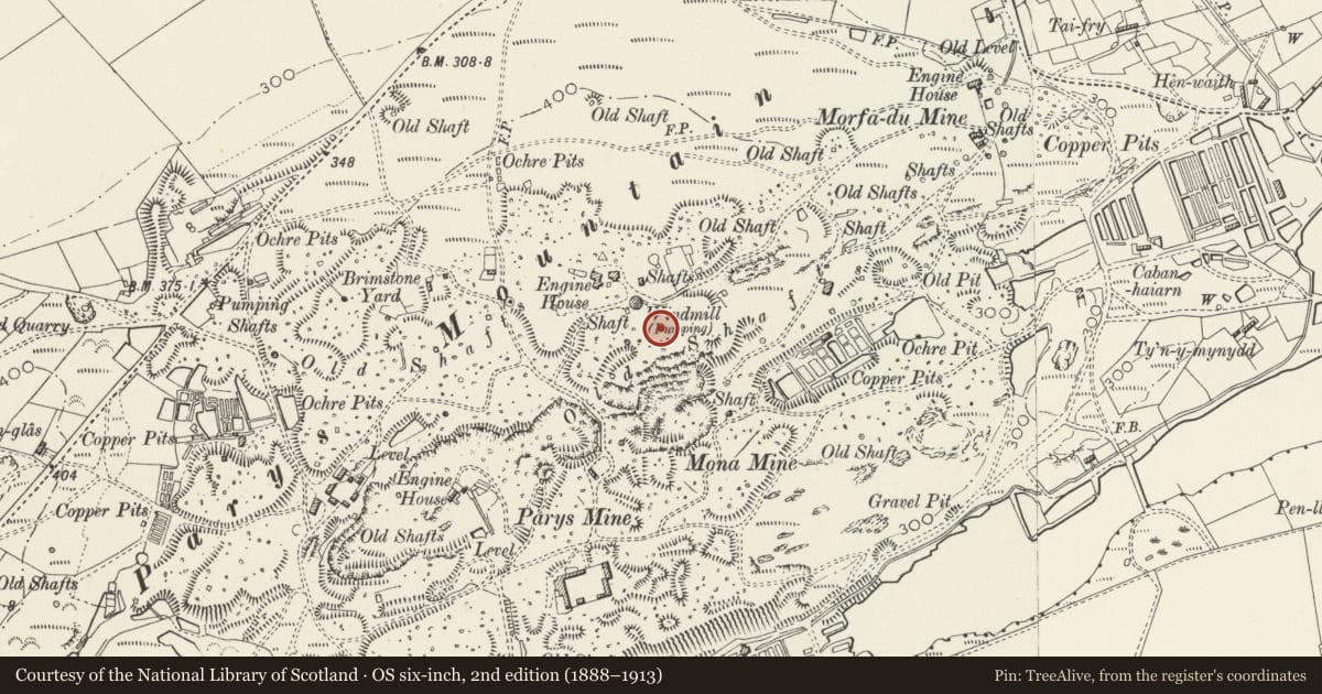 Ordnance Survey six-inch map, 2nd edition (1888–1913) covering the location of Parys Mountain: Windmill, Engine House, Precipitation Pits and Great Opencast, Amlwch, Isle of Anglesey, with a pin at the register's coordinates