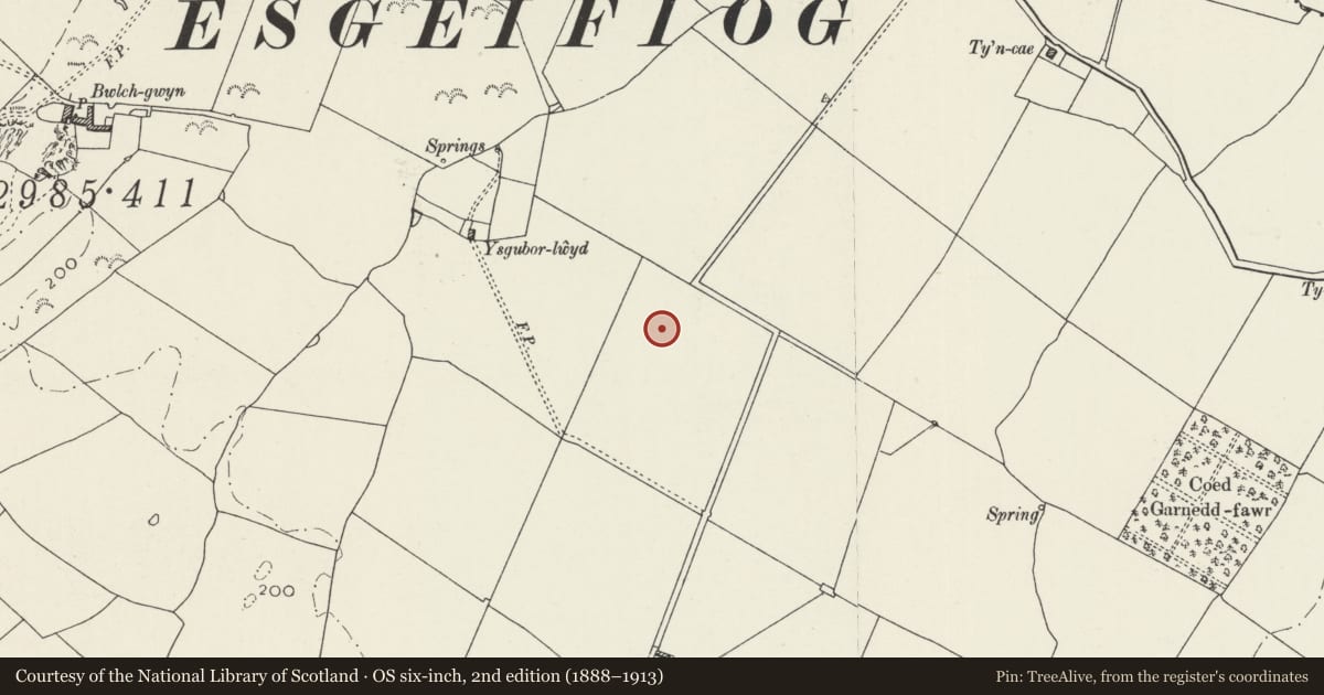 Ordnance Survey six-inch map, 2nd edition (1888–1913) covering the location of Capel Eithin (site of) and Cemetery, Llanfihangel Ysgeifiog, Isle of Anglesey, with a pin at the register's coordinates