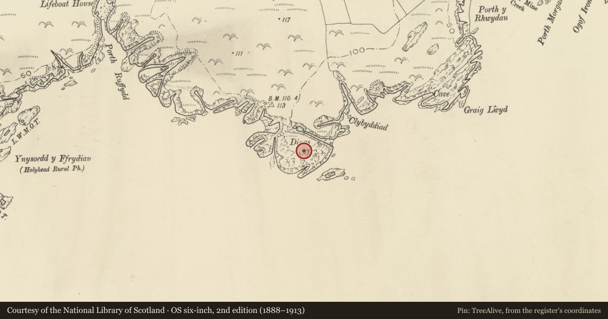 Ordnance Survey six-inch map, 2nd edition (1888–1913) covering the location of Dinas Porth Ruffydd, Trearddur, Isle of Anglesey, with a pin at the register's coordinates