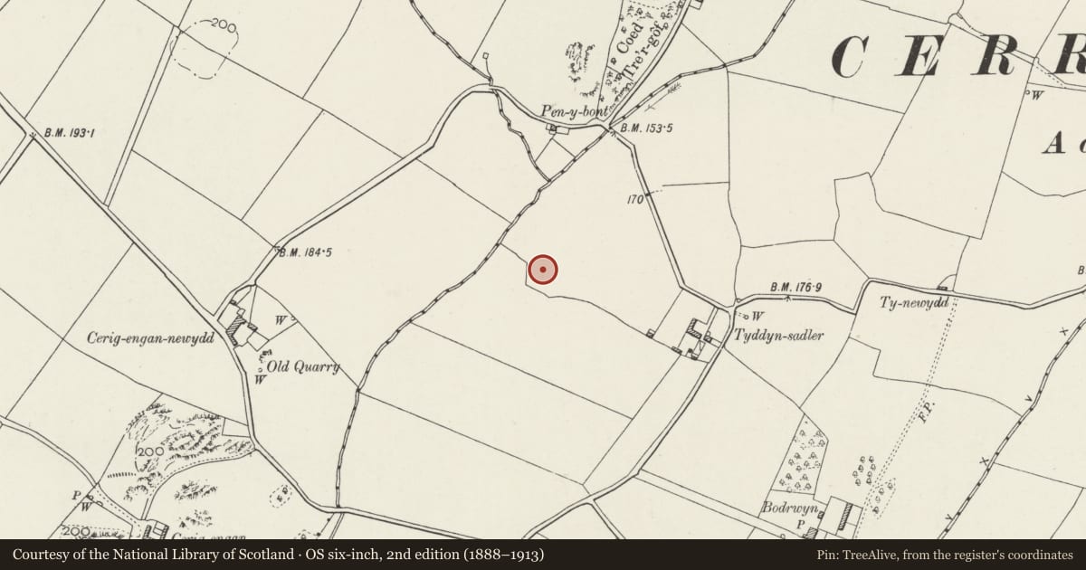 Ordnance Survey six-inch map, 2nd edition (1888–1913) covering the location of Tyddyn Sadler Hut Group, Llangristiolus, Isle of Anglesey, with a pin at the register's coordinates