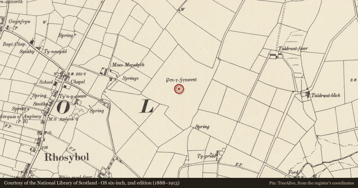 Ordnance Survey six-inch map, 2nd edition (1888–1913) covering the location of Pen-y-Fynwent Enclosure, Rhosybol, Isle of Anglesey, with a pin at the register's coordinates