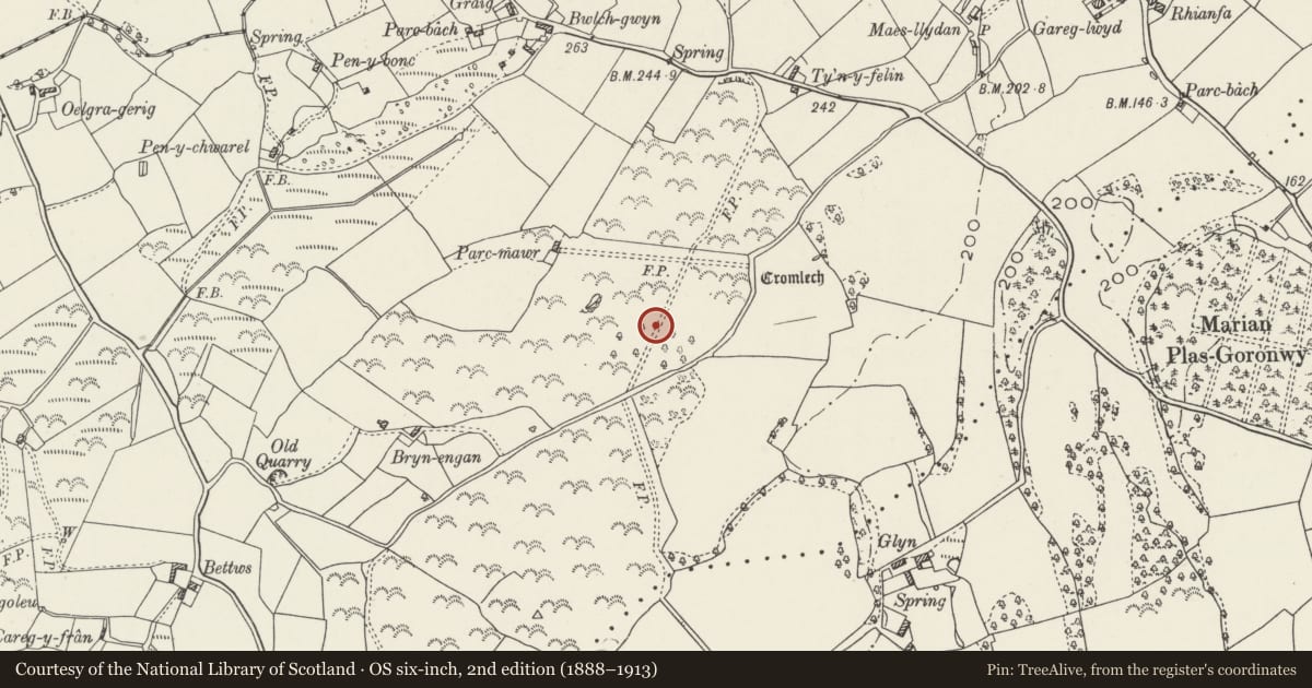 Ordnance Survey six-inch map, 2nd edition (1888–1913) covering the location of Hut Group S of Bwlch, Benllech, Llanfair-Mathafarn-Eithaf, Isle of Anglesey, with a pin at the register's coordinates