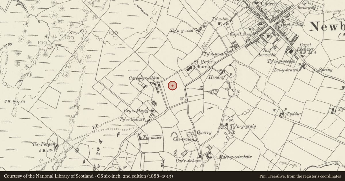 Ordnance Survey six-inch map, 2nd edition (1888–1913) covering the location of Llys Rhosyr, Isle of Anglesey, with a pin at the register's coordinates