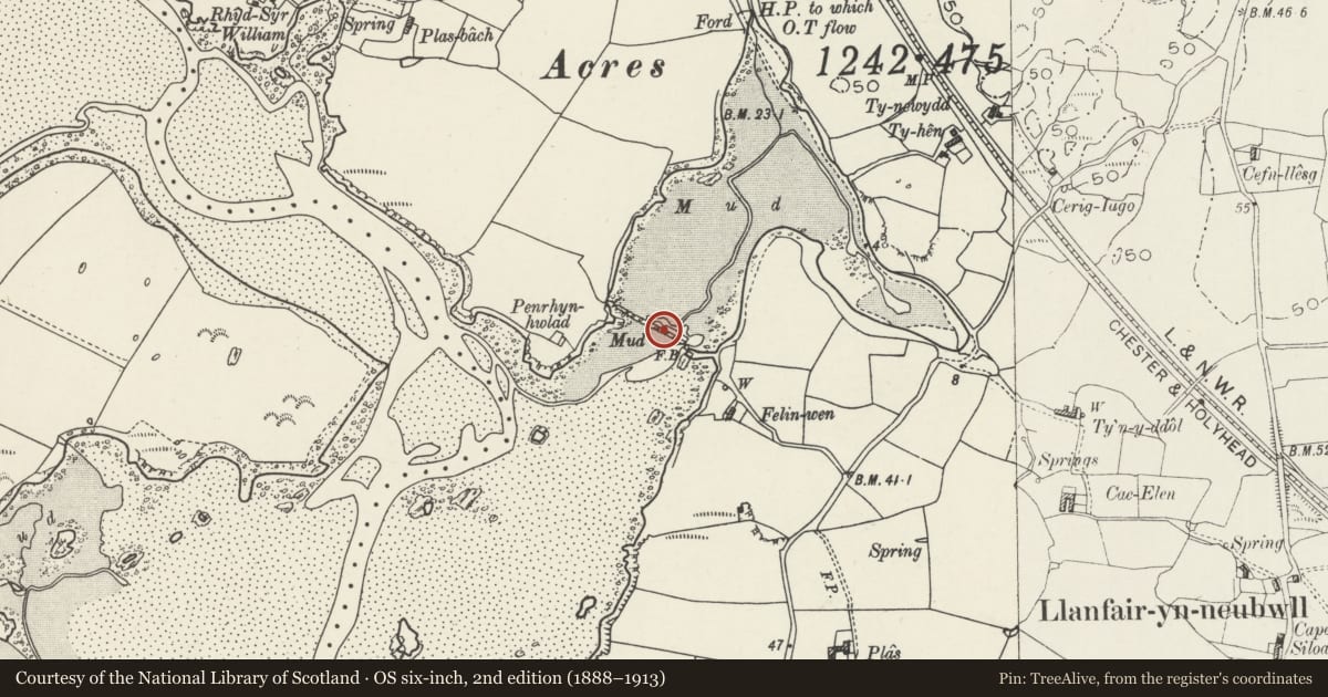 Ordnance Survey six-inch map, 2nd edition (1888–1913) covering the location of Felin Wen Tide Mill, Llanfair-yn-Neubwll, Isle of Anglesey, with a pin at the register's coordinates