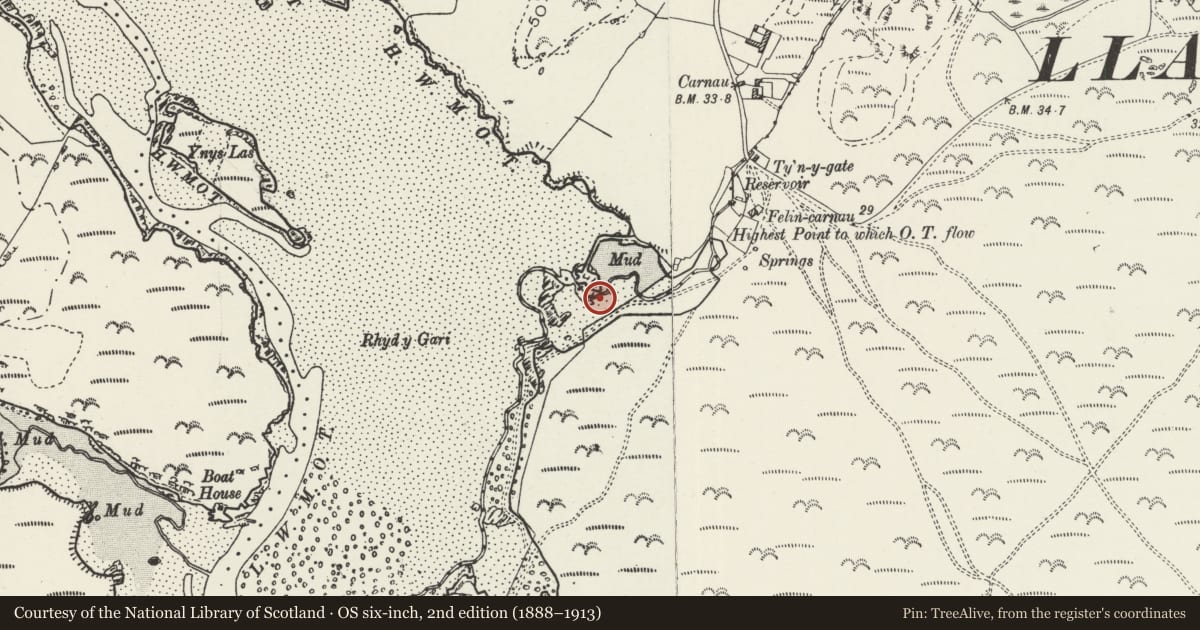 Ordnance Survey six-inch map, 2nd edition (1888–1913) covering the location of Felin Carnau Tide Mill, Llanfair-yn-Neubwll, Isle of Anglesey, with a pin at the register's coordinates