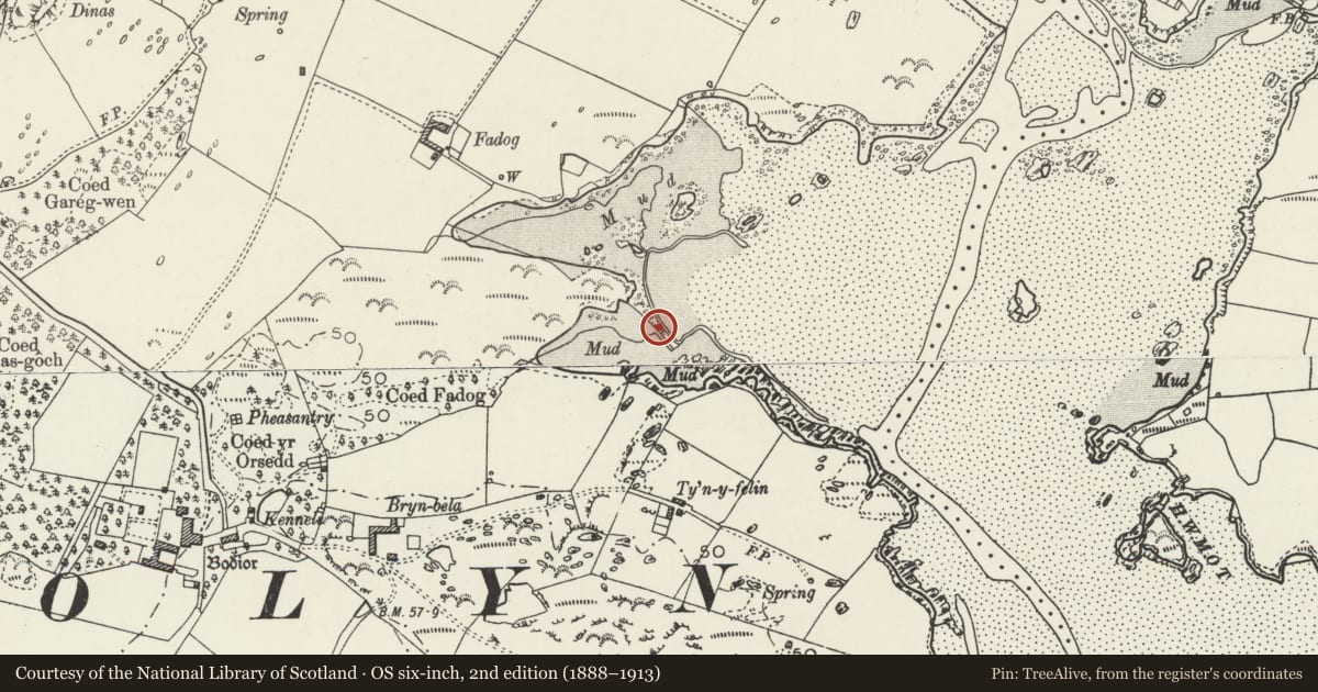 Ordnance Survey six-inch map, 2nd edition (1888–1913) covering the location of Bodior Tide Mill, Rhoscolyn, Isle of Anglesey, with a pin at the register's coordinates