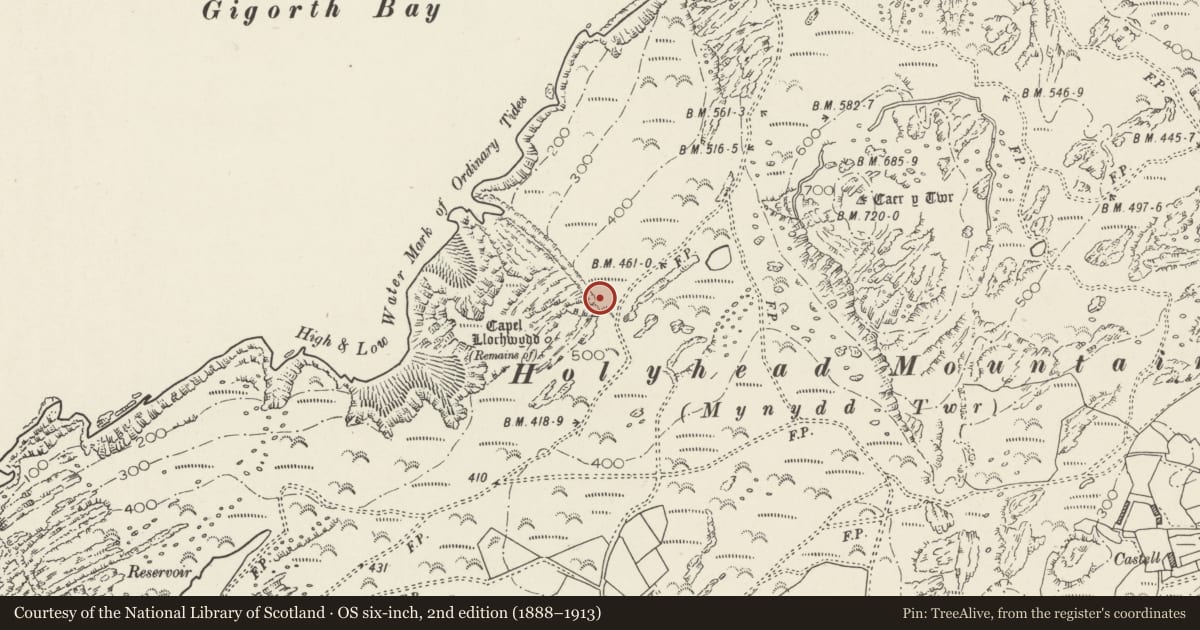 Ordnance Survey six-inch map, 2nd edition (1888–1913) covering the location of Enclosed Hut Circle Settlement at Capel Llochwydd, Trearddur, Isle of Anglesey, with a pin at the register's coordinates