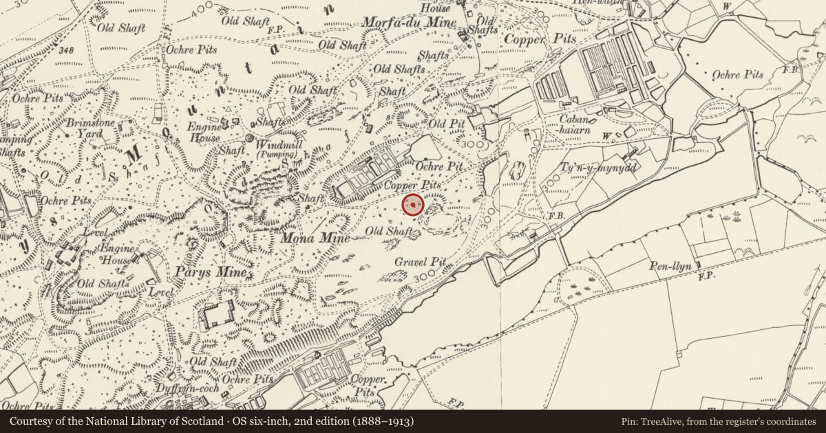 Ordnance Survey six-inch map, 2nd edition (1888–1913) covering the location of Mona Mine Kilns and Sublimation Chambers, Mynydd Parys, Amlwch, Isle of Anglesey, with a pin at the register's coordinates