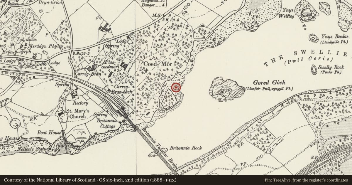 Ordnance Survey six-inch map, 2nd edition (1888–1913) covering the location of Coed Mor Fish Weir, Llanfair Pwllgwyngyll, Isle of Anglesey, with a pin at the register's coordinates