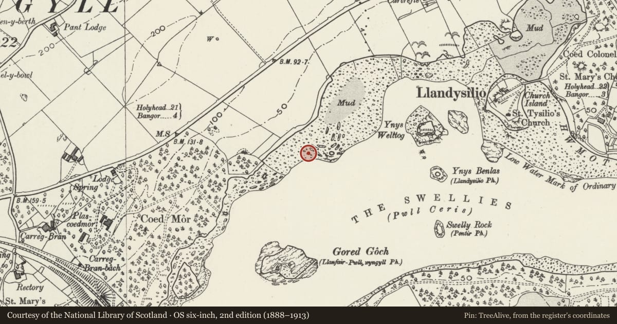 Ordnance Survey six-inch map, 2nd edition (1888–1913) covering the location of Gorad Ddu Fish Weir, Llanfair Pwllgwyngyll, Isle of Anglesey, with a pin at the register's coordinates