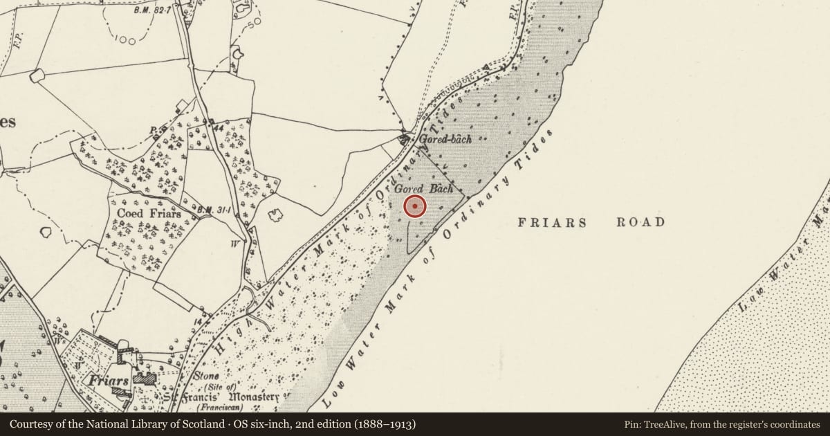 Ordnance Survey six-inch map, 2nd edition (1888–1913) covering the location of Gorad Friars Bach Fish Weir, Beaumaris, Isle of Anglesey, with a pin at the register's coordinates