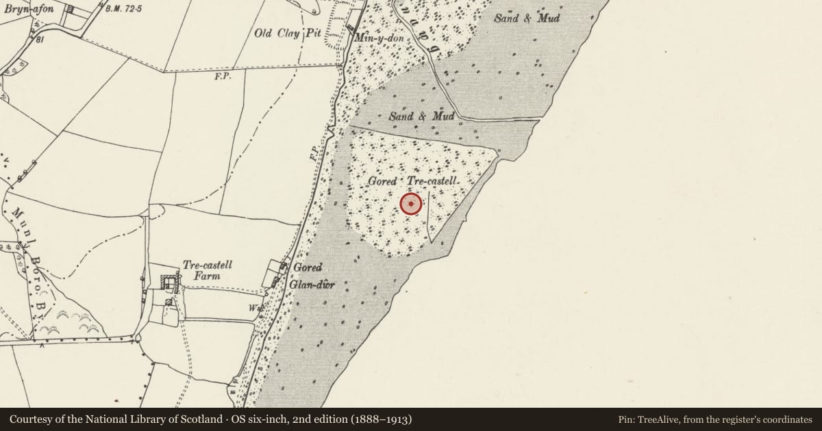 Ordnance Survey six-inch map, 2nd edition (1888–1913) covering the location of Trecastell Fish Weir, Llangoed, Isle of Anglesey, with a pin at the register's coordinates