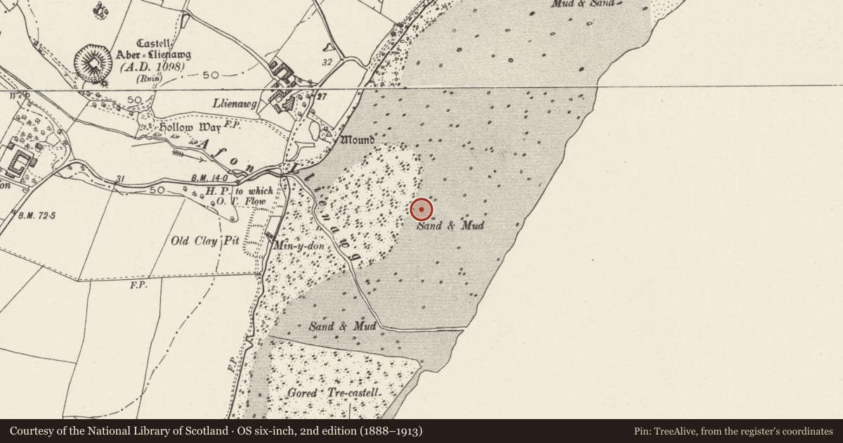 Ordnance Survey six-inch map, 2nd edition (1888–1913) covering the location of Aberlleiniog Fish Weir I, Llangoed, Isle of Anglesey, with a pin at the register's coordinates