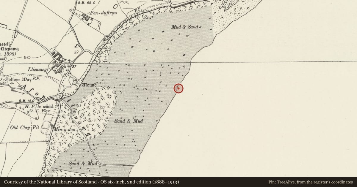 Ordnance Survey six-inch map, 2nd edition (1888–1913) covering the location of Aberlleiniog Fish Weir II, Llangoed, Isle of Anglesey, with a pin at the register's coordinates