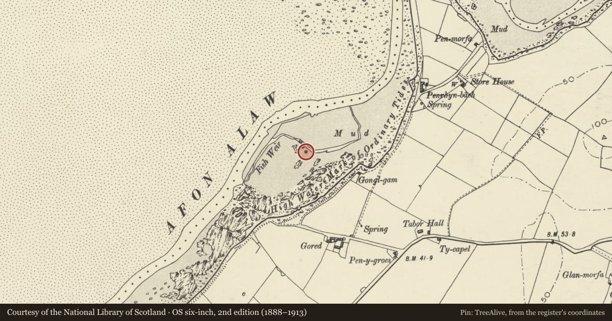 Ordnance Survey six-inch map, 2nd edition (1888–1913) covering the location of Newlands Fish Weir, Valley, Isle of Anglesey, with a pin at the register's coordinates