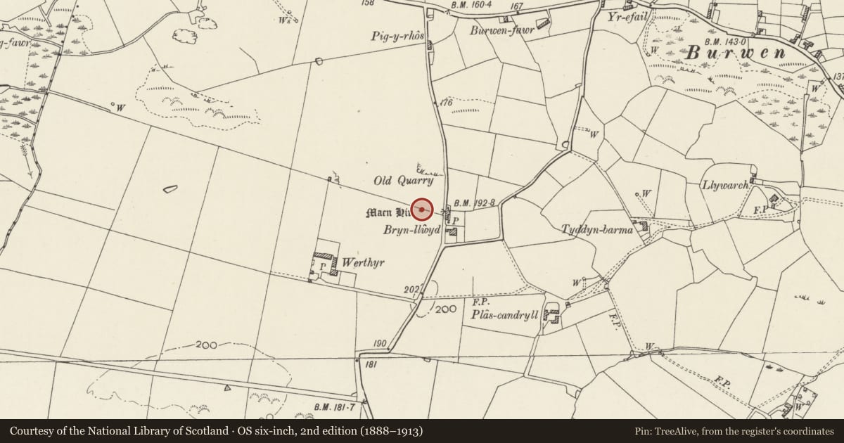 Ordnance Survey six-inch map, 2nd edition (1888–1913) covering the location of Werthyr standing stone, Amlwch, Isle of Anglesey, with a pin at the register's coordinates