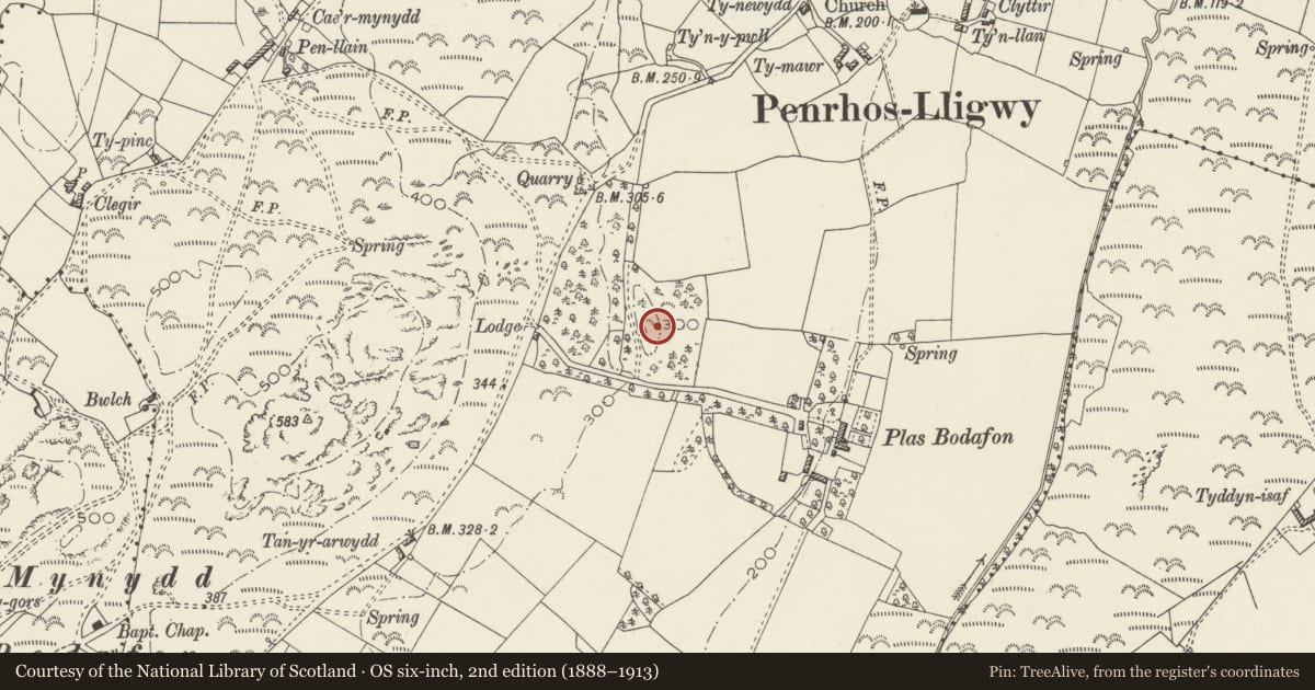 Ordnance Survey six-inch map, 2nd edition (1888–1913) covering the location of Standing Stone, Moelfre, Isle of Anglesey, with a pin at the register's coordinates