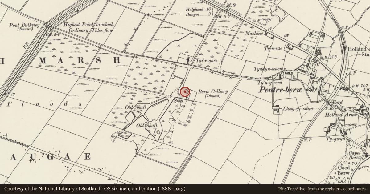 Ordnance Survey six-inch map, 2nd edition (1888–1913) covering the location of Berw Colliery, Llanfihangel Ysgeifiog, Isle of Anglesey, with a pin at the register's coordinates