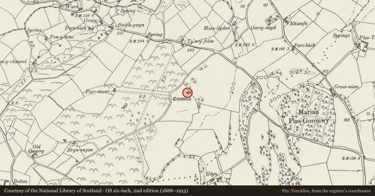 Ordnance Survey six-inch map, 2nd edition (1888–1913) covering the location of Burial Chamber, Llanfair-Mathafarn-Eithaf, Isle of Anglesey, with a pin at the register's coordinates