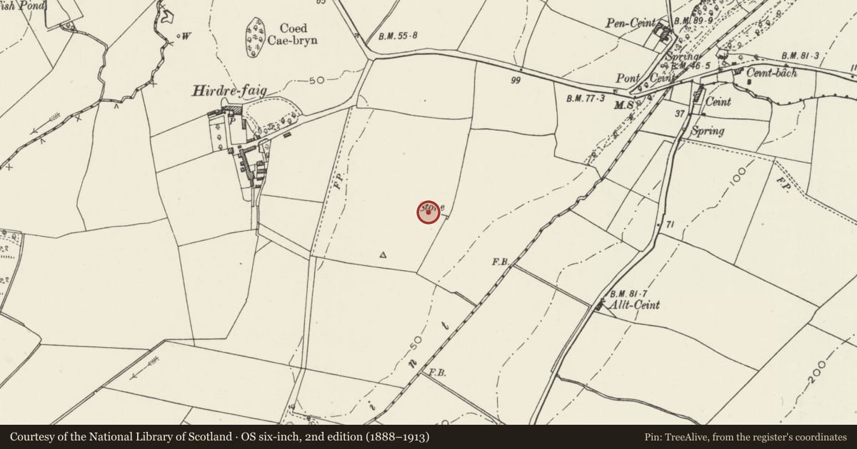 Ordnance Survey six-inch map, 2nd edition (1888–1913) covering the location of Hirdre-Faig Standing Stone, Llanddyfnan, Isle of Anglesey, with a pin at the register's coordinates
