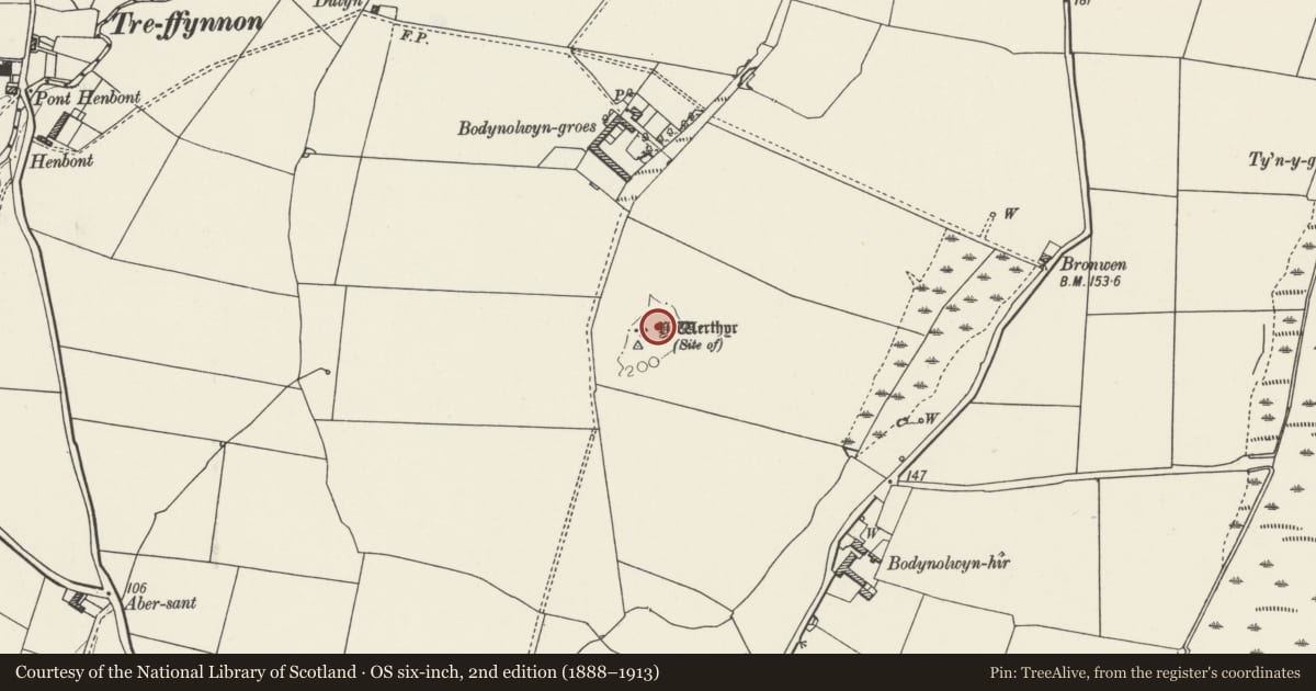 Ordnance Survey six-inch map, 2nd edition (1888–1913) covering the location of Y Werthyr Hillfort, Tref Alaw, Isle of Anglesey, with a pin at the register's coordinates