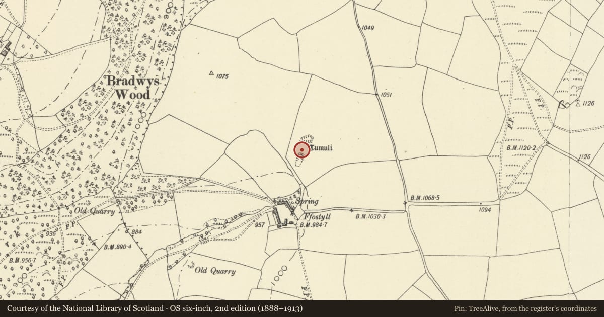 Ordnance Survey six-inch map, 2nd edition (1888–1913) covering the location of Ffostyll Long Barrows, Talgarth, Powys, with a pin at the register's coordinates