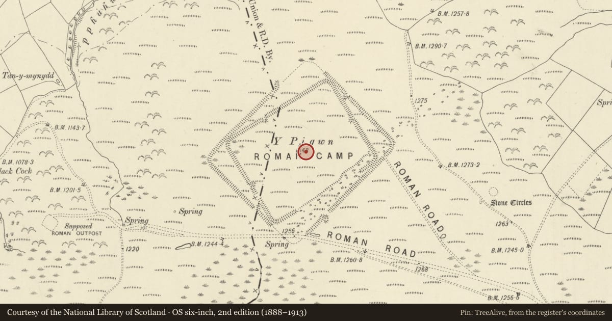 Ordnance Survey six-inch map, 2nd edition (1888–1913) covering the location of Y Pigwyn, Myddfai, Carmarthenshire, with a pin at the register's coordinates