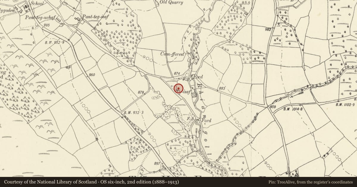 Ordnance Survey six-inch map, 2nd edition (1888–1913) covering the location of Ty-Isaf Long Barrow, Talgarth, Powys, with a pin at the register's coordinates