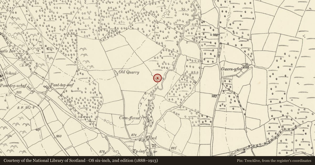 Ordnance Survey six-inch map, 2nd edition (1888–1913) covering the location of Cwm Fforest Long Barrow, Talgarth, Powys, with a pin at the register's coordinates