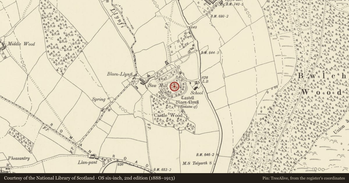 Ordnance Survey six-inch map, 2nd edition (1888–1913) covering the location of Castell Blaenllynfi, Llanfihangel Cwmdu with Bwlch and Cathedine, Powys, with a pin at the register's coordinates