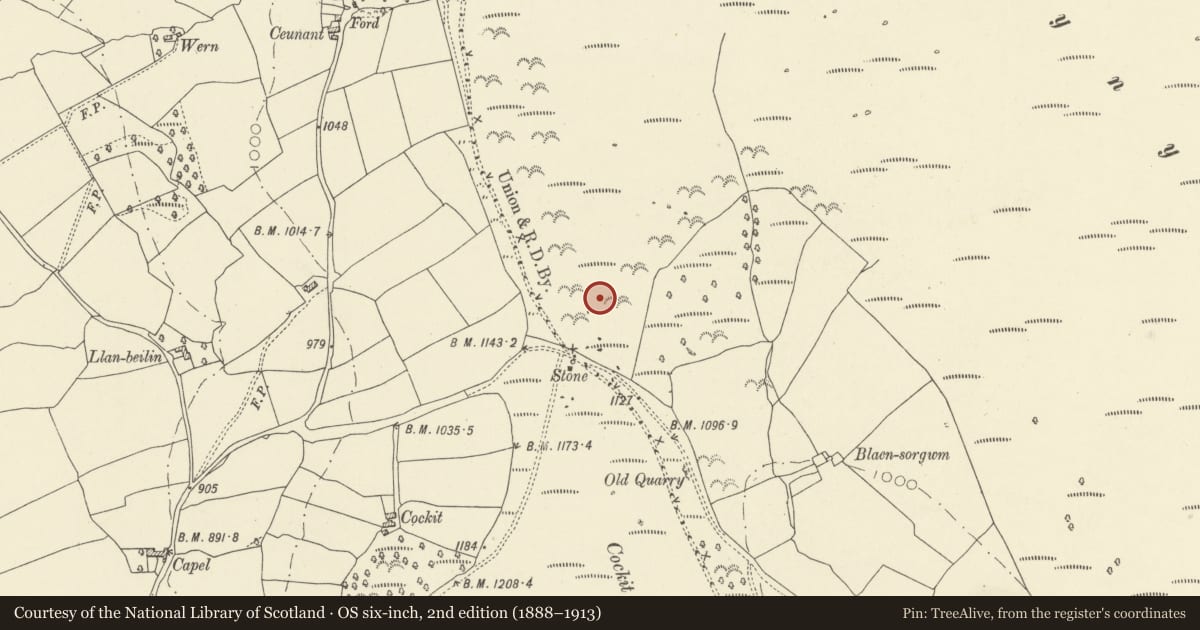 Ordnance Survey six-inch map, 2nd edition (1888–1913) covering the location of Mynydd Troed Long Barrow, Talgarth, Powys, with a pin at the register's coordinates
