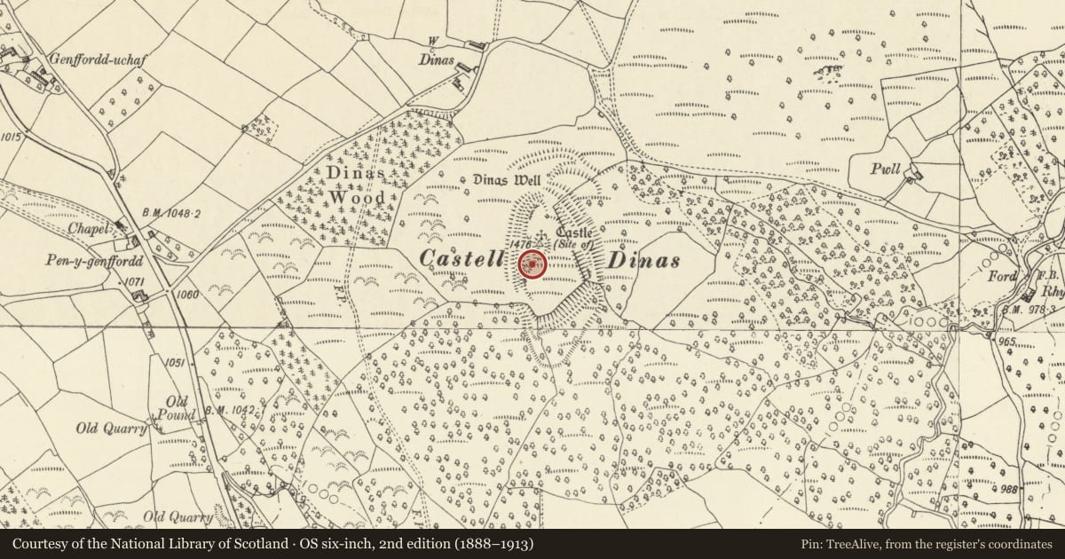 Ordnance Survey six-inch map, 2nd edition (1888–1913) covering the location of Castell Dinas, Talgarth, Powys, with a pin at the register's coordinates