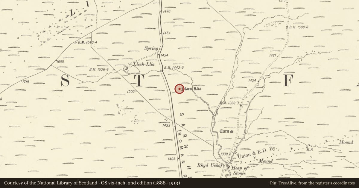 Ordnance Survey six-inch map, 2nd edition (1888–1913) covering the location of Maen Llia Stone, Maescar, Powys, with a pin at the register's coordinates
