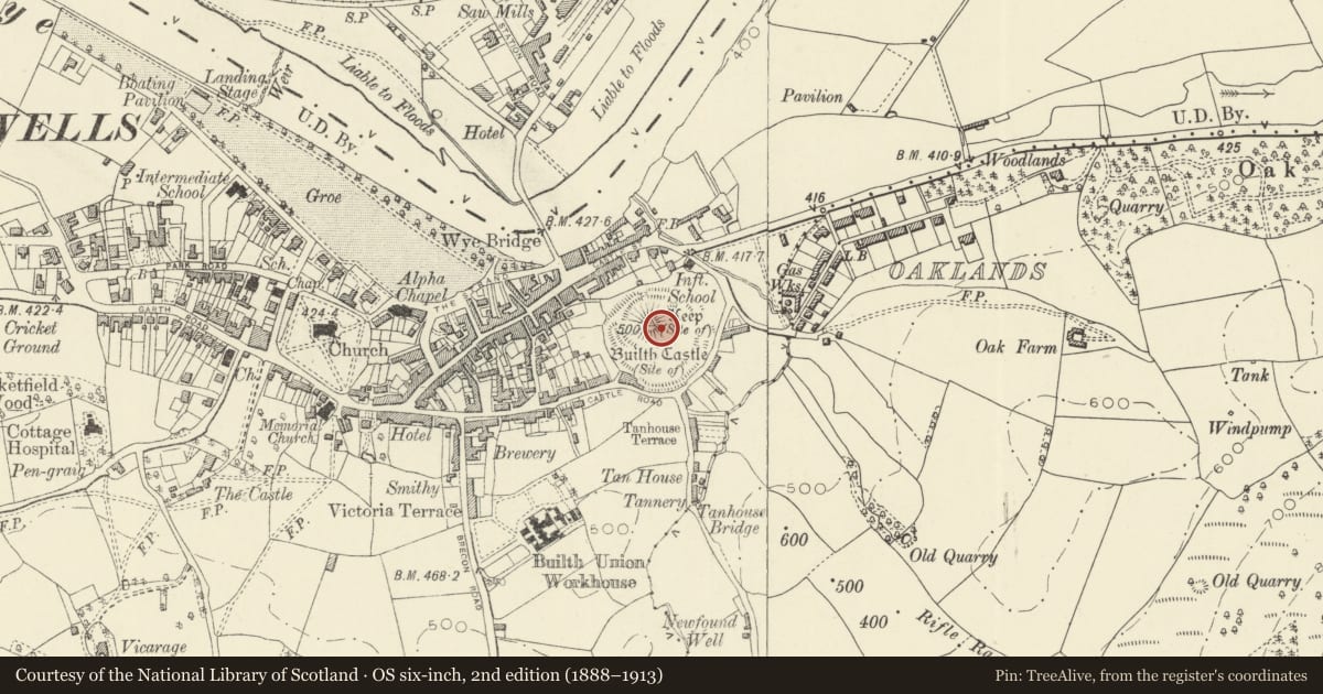 Ordnance Survey six-inch map, 2nd edition (1888–1913) covering the location of Builth Castle, Powys, with a pin at the register's coordinates