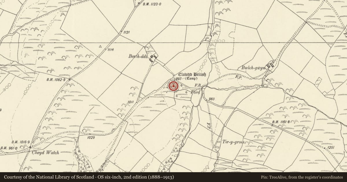 Ordnance Survey six-inch map, 2nd edition (1888–1913) covering the location of Clawdd British, Maescar, Powys, with a pin at the register's coordinates