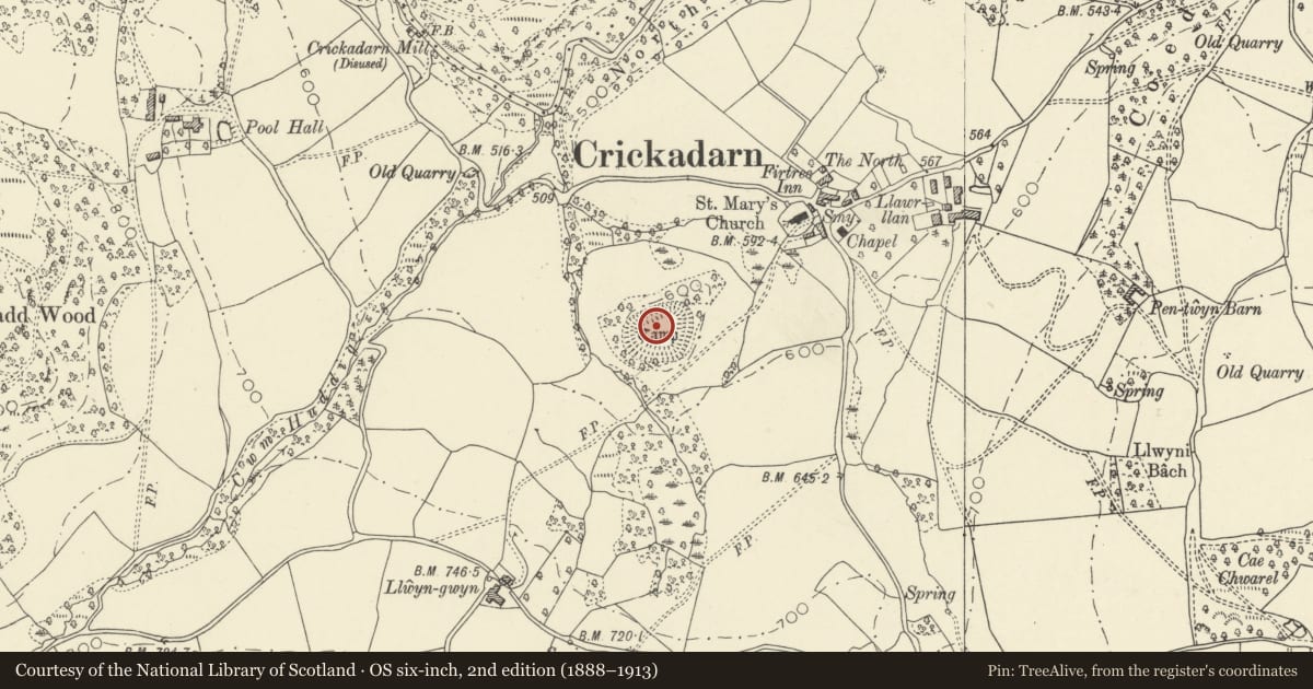 Ordnance Survey six-inch map, 2nd edition (1888–1913) covering the location of Crickadarn Camp, Erwood, Powys, with a pin at the register's coordinates