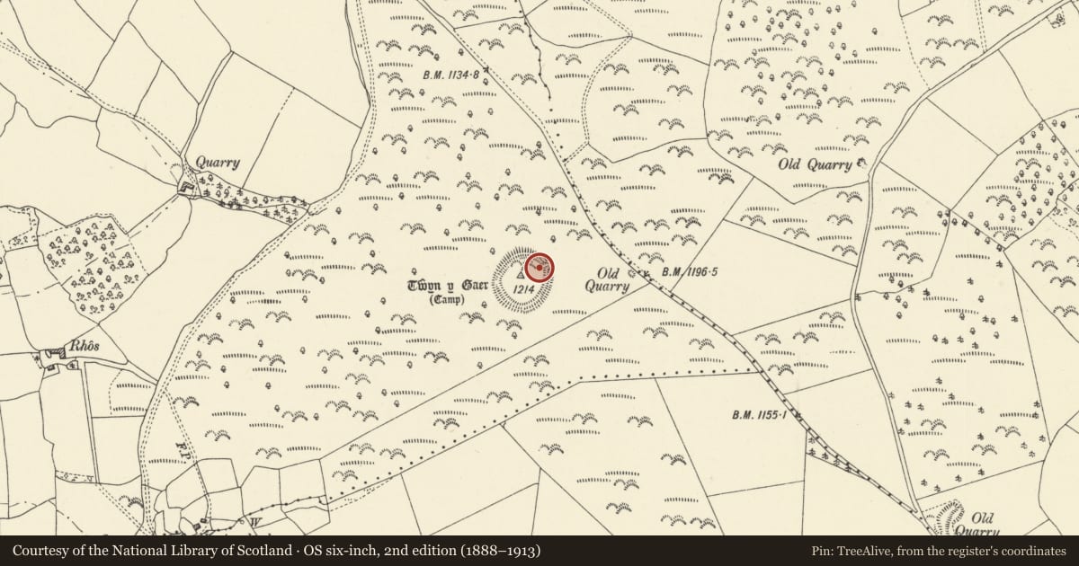 Ordnance Survey six-inch map, 2nd edition (1888–1913) covering the location of Twyn-y-Gaer, Honddu Isaf, Powys, with a pin at the register's coordinates