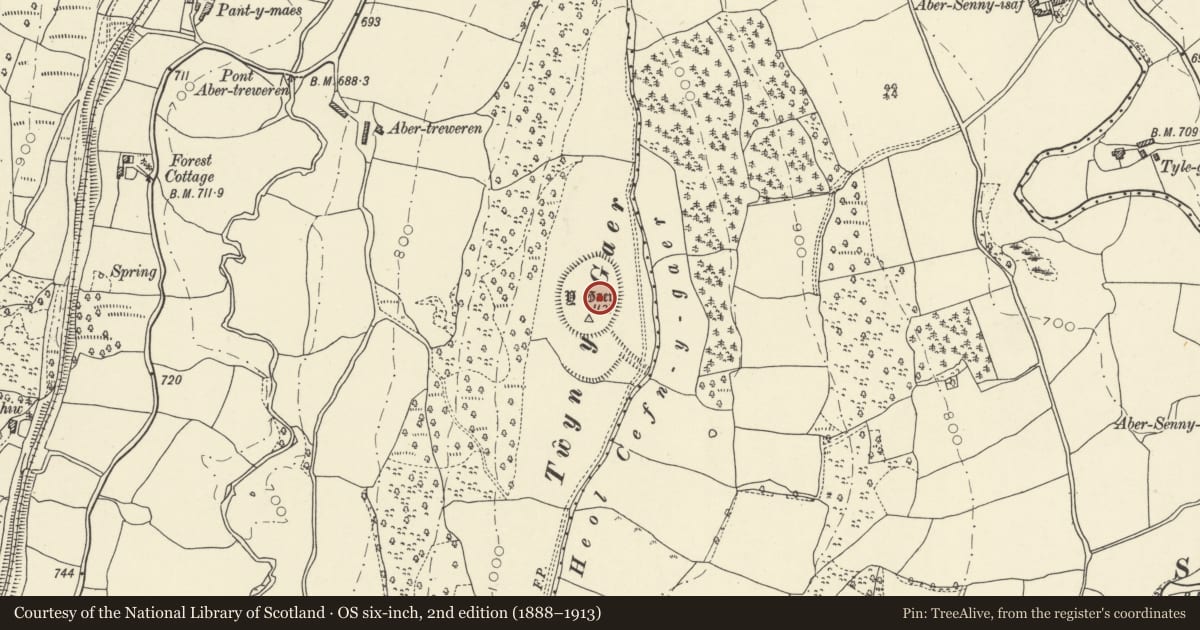 Ordnance Survey six-inch map, 2nd edition (1888–1913) covering the location of Twyn-y-Gaer, Cray, Powys, with a pin at the register's coordinates