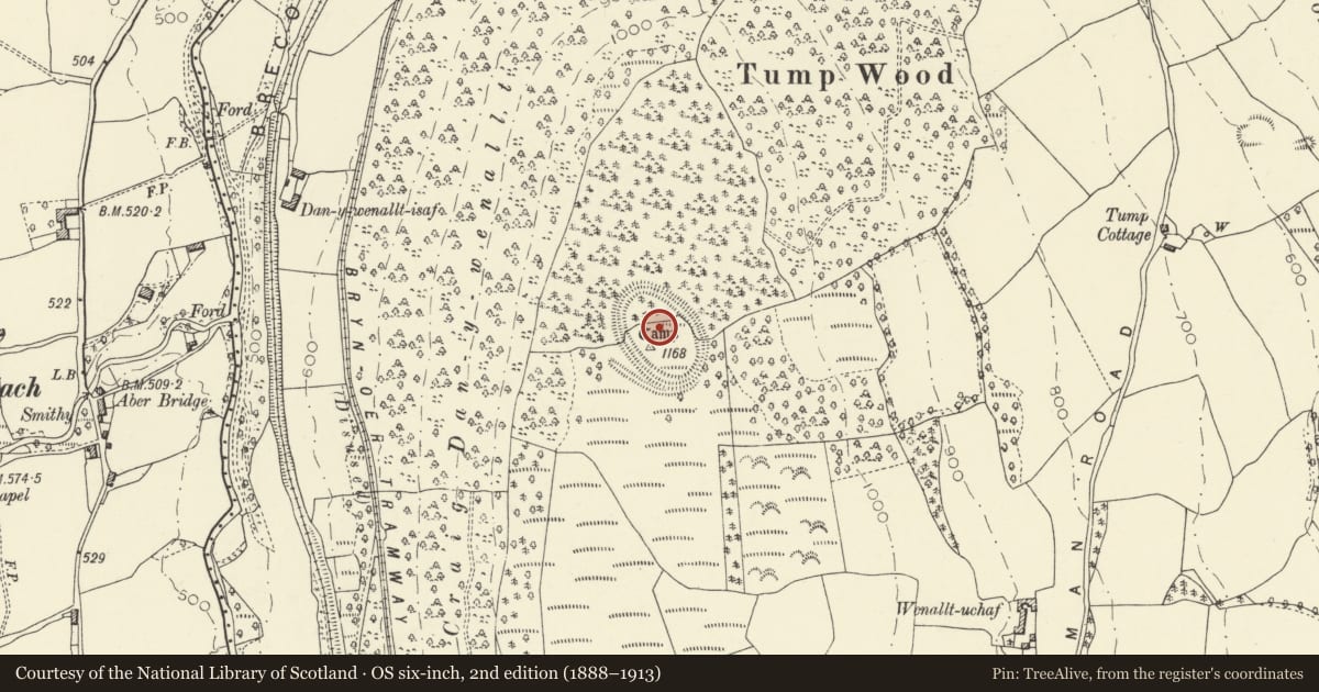 Ordnance Survey six-inch map, 2nd edition (1888–1913) covering the location of Tump Wood Camp, Talybont-on-Usk, Powys, with a pin at the register's coordinates