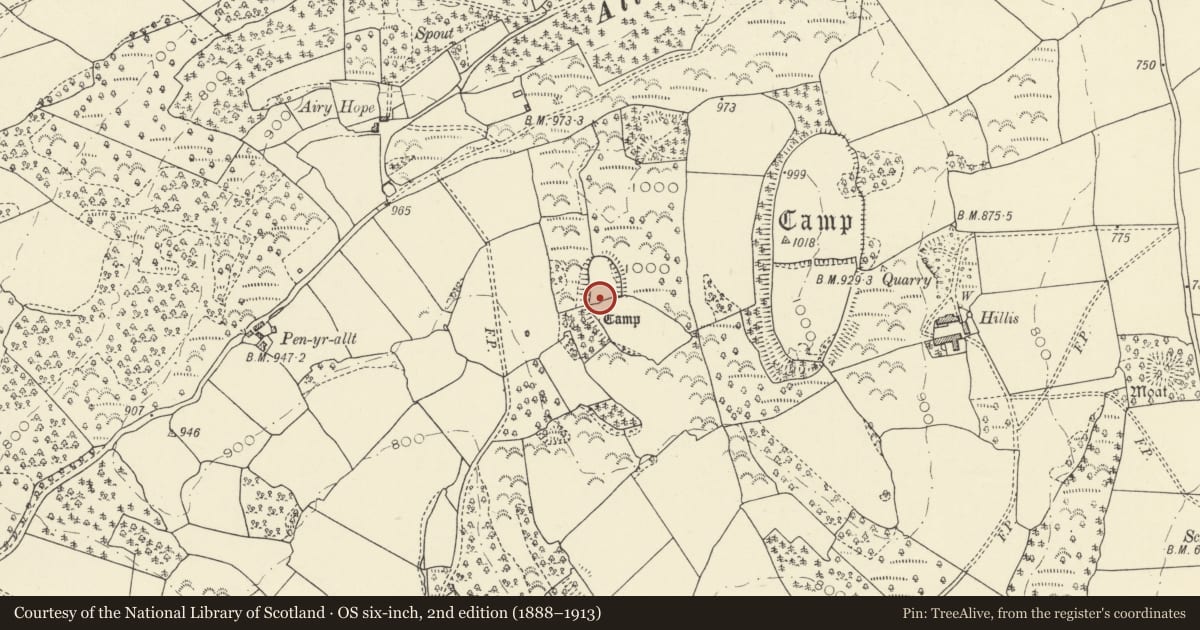Ordnance Survey six-inch map, 2nd edition (1888–1913) covering the location of Western Camp, Felin-Fach, Powys, with a pin at the register's coordinates