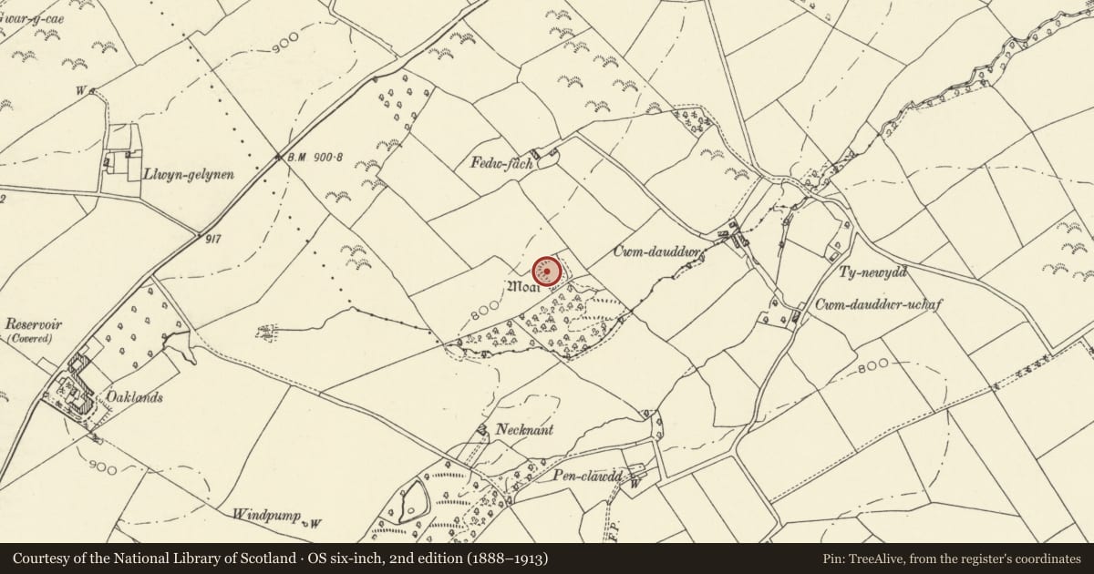 Ordnance Survey six-inch map, 2nd edition (1888–1913) covering the location of Oaklands Moated Site, Felin-Fach, Powys, with a pin at the register's coordinates