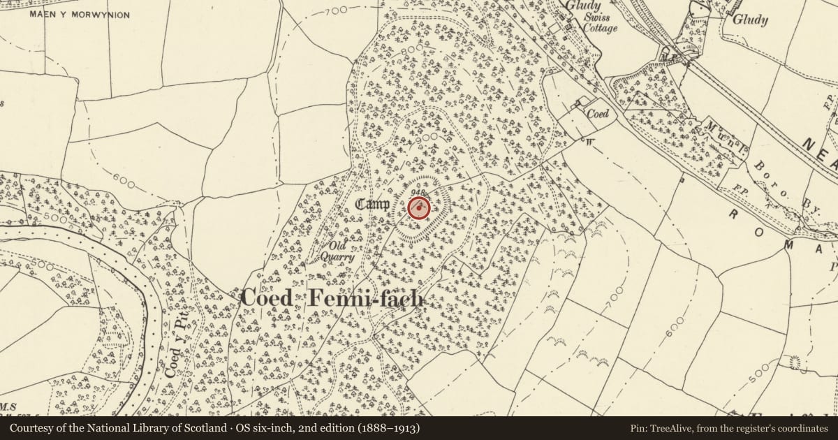 Ordnance Survey six-inch map, 2nd edition (1888–1913) covering the location of Coed Fenni-Fach Camp, Yscir, Powys, with a pin at the register's coordinates