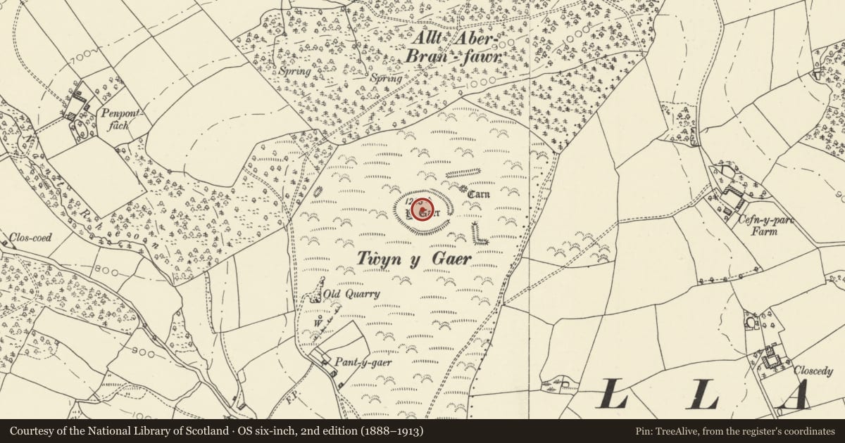 Ordnance Survey six-inch map, 2nd edition (1888–1913) covering the location of Twyn-y-Gaer, Trallong, Powys, with a pin at the register's coordinates