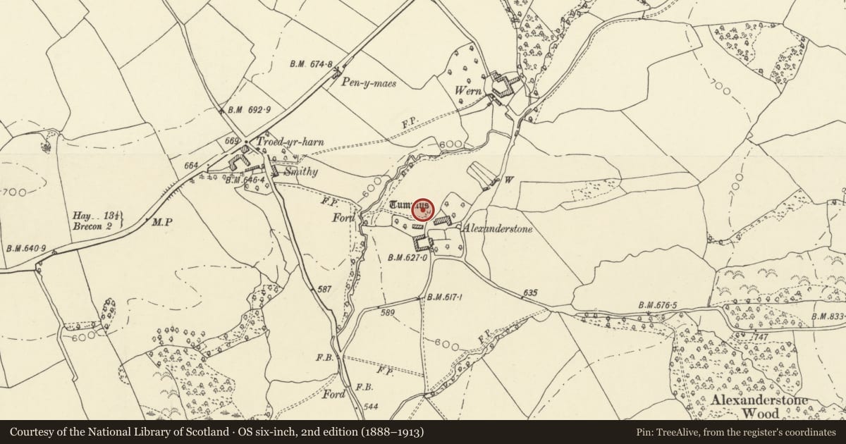 Ordnance Survey six-inch map, 2nd edition (1888–1913) covering the location of Alexanderstone Mound and Bailey Castle, Llanddew, Powys, with a pin at the register's coordinates