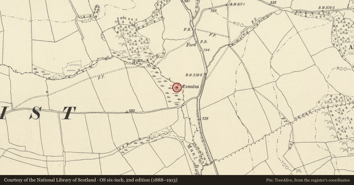 Ordnance Survey six-inch map, 2nd edition (1888–1913) covering the location of Castle Mound 800m NNW of Ty'n-y-Caeau, Brecon, Powys, with a pin at the register's coordinates