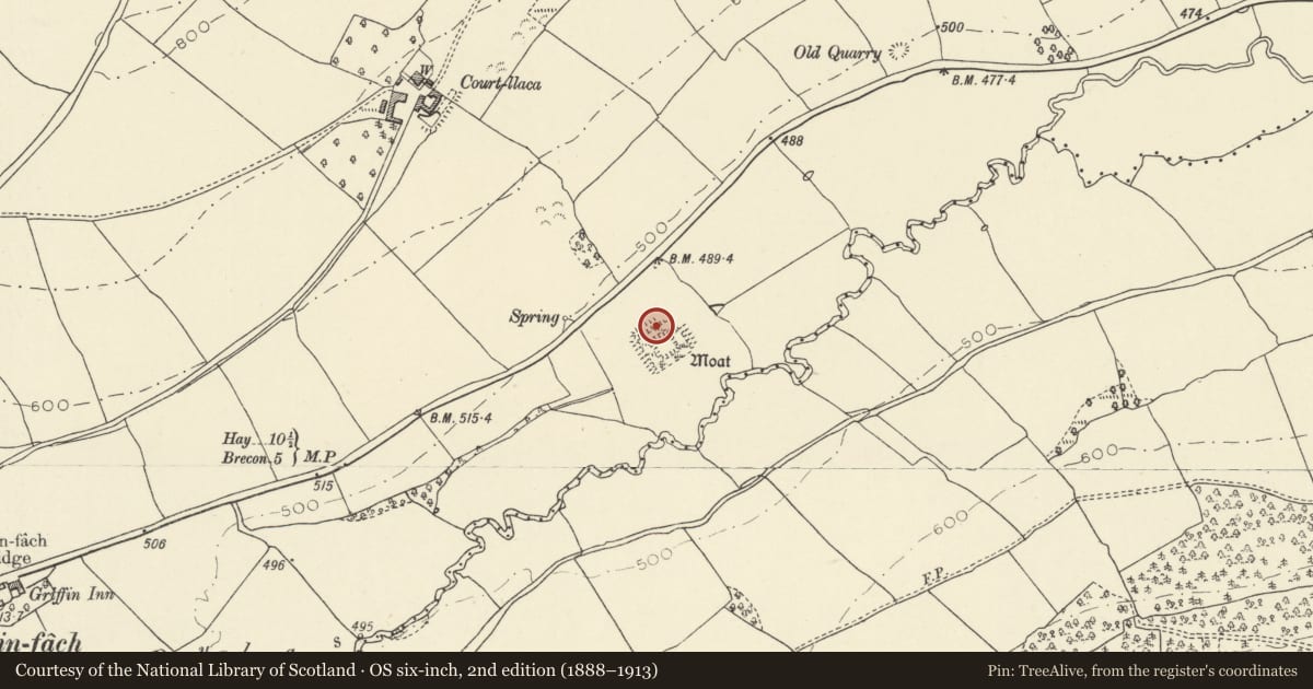 Ordnance Survey six-inch map, 2nd edition (1888–1913) covering the location of Moated Site 800m NE of Felinfach, Felin-Fach, Powys, with a pin at the register's coordinates