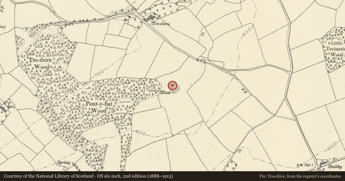 Ordnance Survey six-inch map, 2nd edition (1888–1913) covering the location of Moated Site E of Pont-y-Bat Wood, Felin-Fach, Powys, with a pin at the register's coordinates