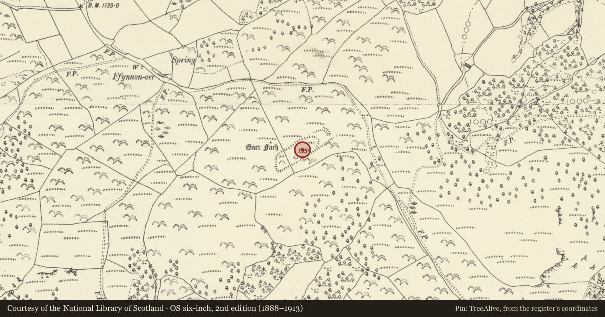Ordnance Survey six-inch map, 2nd edition (1888–1913) covering the location of Gaer Fach, Merthyr Cynog, Powys, with a pin at the register's coordinates